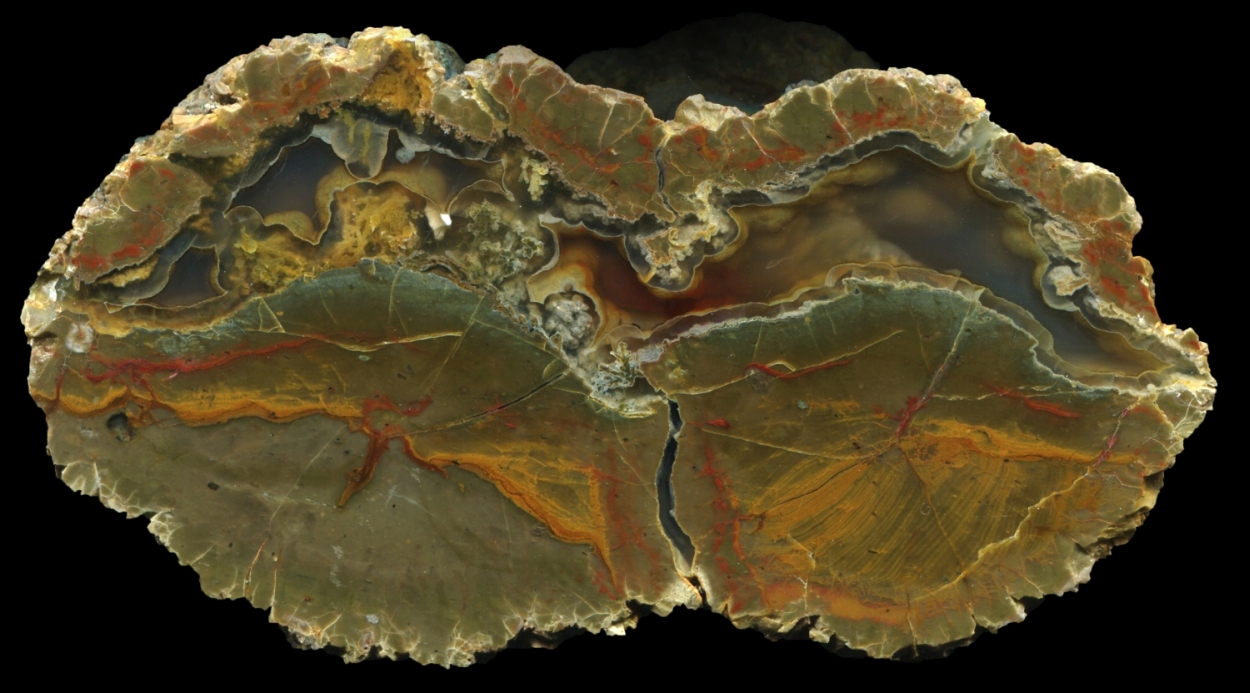Beautiful Double Paintbrush Bed Thunderegg