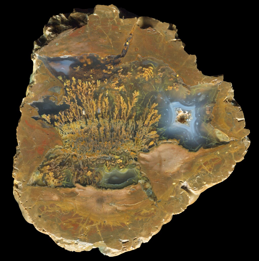 Beautiful 'Flower Garden' Plume Thunderegg from Wild Iris