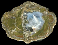 New White Rock / 'Mudball' Thundereggs