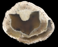 TnT Thunderegg