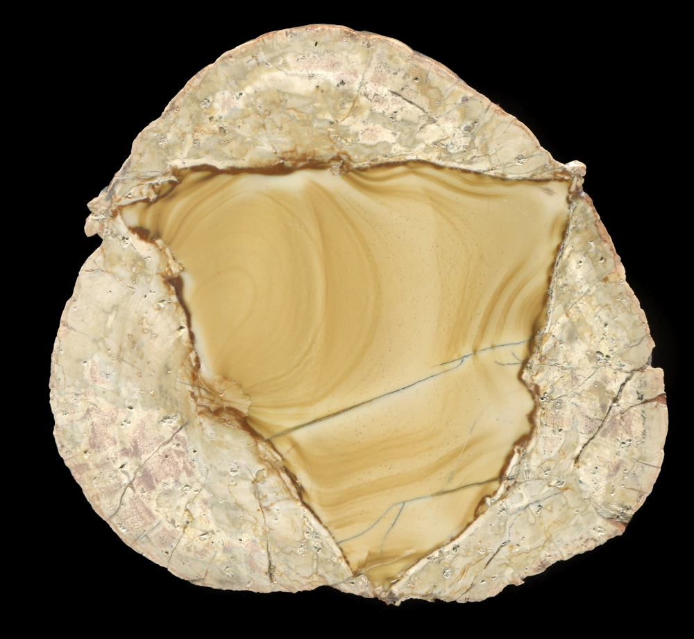 Classic Yellow White Fir Jasper Thunderegg