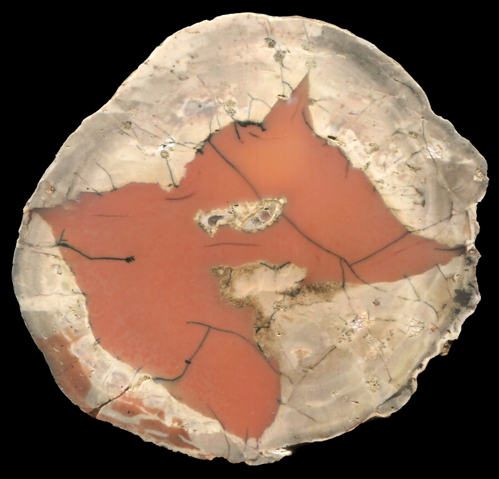 Beautiful Round Pink White Fir Jasper Thunderegg