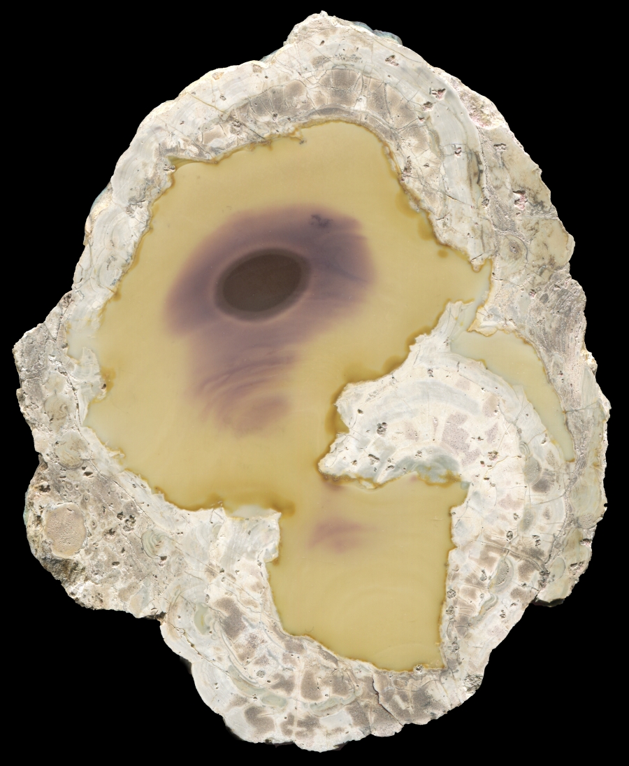 Large Yellow White Fir with Orb
