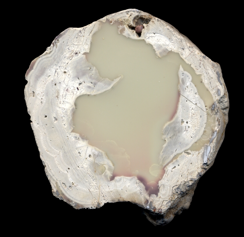 Beautiful Almost Pure White White Fir Jasper Thunderegg