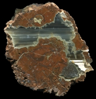Yo Bear Thundereggs
